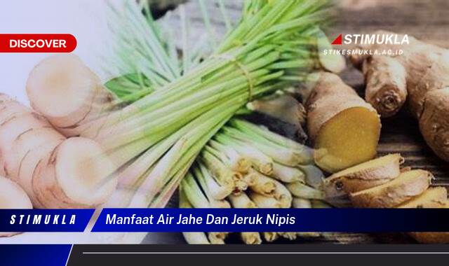 9 Manfaat Air Jahe dan Jeruk Nipis untuk Kesehatan Tubuh Anda