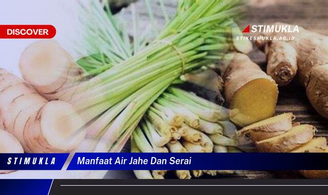 Ketahui 8 Manfaat Air Jahe dan Serai untuk Kesehatan Tubuh Anda