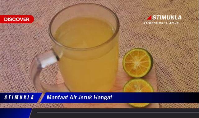 10 Manfaat Air Jeruk Hangat untuk Kesehatan Tubuh dan Kecantikan Kulit