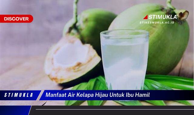 Ketahui 9 Manfaat Air Kelapa Hijau untuk Ibu Hamil, Mencegah Dehidrasi, Meningkatkan Energi, dan Menjaga Kesehatan Janin