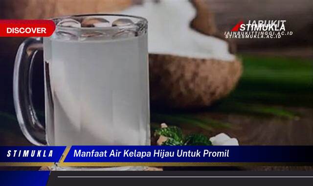 Temukan 8 Manfaat Air Kelapa Hijau untuk Promil, Kesuburan, Hormon, dan Kualitas Sel Telur