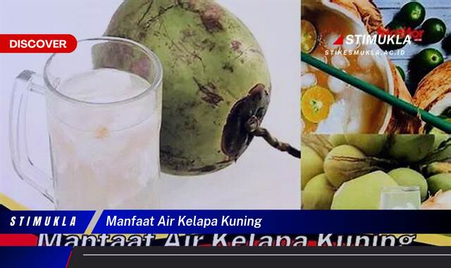 Ketahui 9 Manfaat Air Kelapa Kuning untuk Kesehatan Tubuh Anda