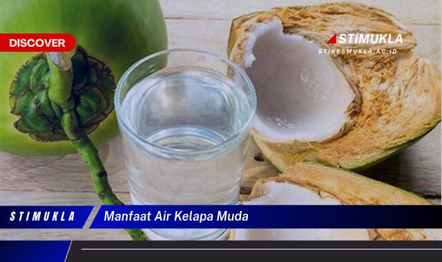 Ketahui 9 Manfaat Air Kelapa Muda untuk Kesehatan, Kecantikan, dan Diet