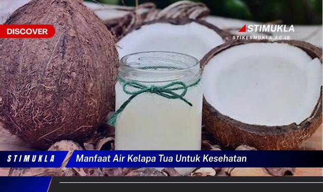 Temukan 9 Manfaat Air Kelapa Tua untuk Kesehatan Tubuh yang Menakjubkan