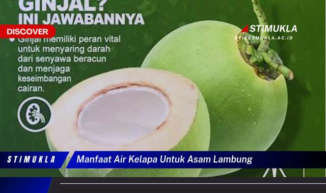 Ketahui 8 Manfaat Air Kelapa untuk Asam Lambung, Redakan Gejala dan Cegah Kambuh