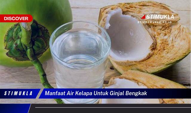 Ketahui 10 Manfaat Air Kelapa untuk Ginjal Bengkak, Redakan Gejala dan Dukung Pemulihan