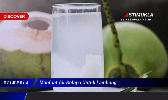 Ketahui 10 Manfaat Air Kelapa untuk Lambung, Meredakan Maag dan Gangguan Pencernaan Lainnya