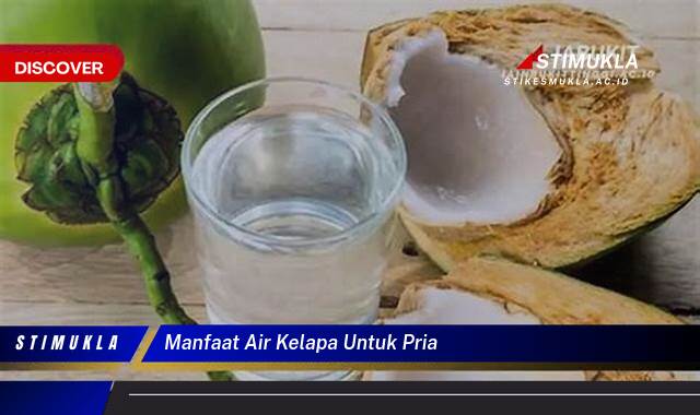 Ketahui 10 Manfaat Air Kelapa untuk Pria, Meningkatkan Kesehatan dan Stamina