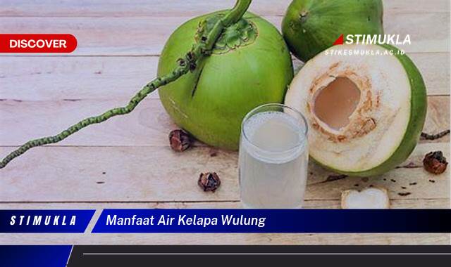 Inilah 8 Manfaat Air Kelapa Wulung untuk Kesehatan dan Kecantikan Anda