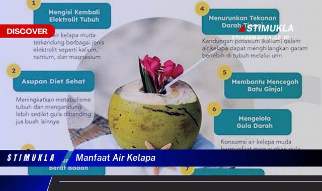 Ketahui 8 Manfaat Air Kelapa untuk Kesehatan Tubuh Anda