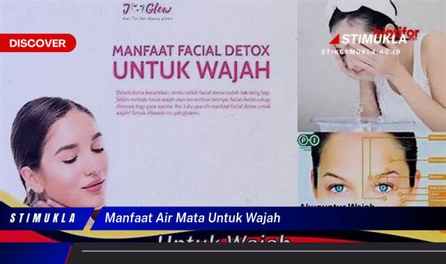 Ketahui 10 Manfaat Air Mata untuk Wajah, Mitos vs. Fakta dan Penjelasan Ilmiah Ketahui 10 Manfaat Air Mata untuk Wajah, Mitos vs. Fakta dan Penjelasan Ilmiah