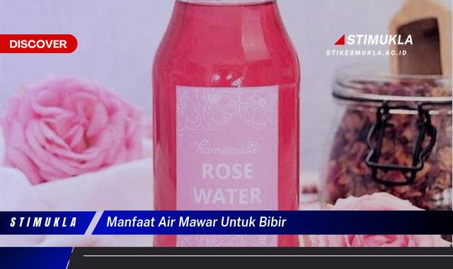 8 Manfaat Manfaat Air Mawar untuk Bibir Terungkap Rahasia Cantiknya