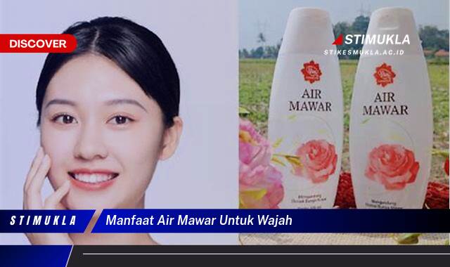 Ketahui 10 Manfaat Air Mawar untuk Wajah, Kulit Cerah, Lembap, dan Sehat Alami Ketahui 10 Manfaat Air Mawar untuk Wajah, Kulit Cerah, Lembap, dan Sehat Alami