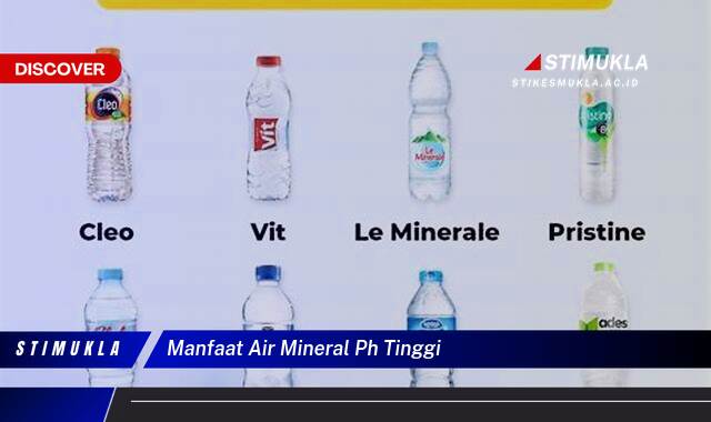 Temukan 8 Manfaat Air Mineral pH Tinggi untuk Kesehatan Tubuh Anda