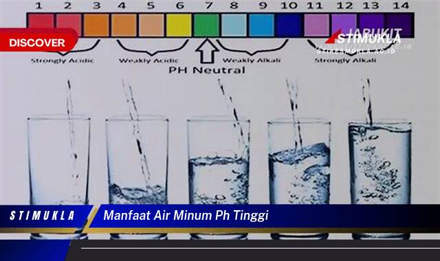 Ketahui 9 Manfaat Air Minum pH Tinggi untuk Kesehatan Tubuh Anda Ketahui 9 Manfaat Air Minum pH Tinggi untuk Kesehatan Tubuh Anda