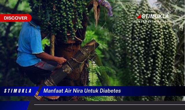 Temukan 8 Manfaat Air Nira untuk Diabetes, Kontrol Gula Darah dan Cegah Komplikasi