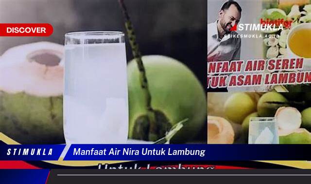 8 Manfaat Air Nira Untuk Lambung Redakan Maag dan Mulas