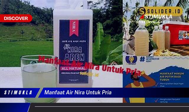 Ketahui 10 Manfaat Air Nira untuk Pria, Meningkatkan Vitalitas dan Stamina