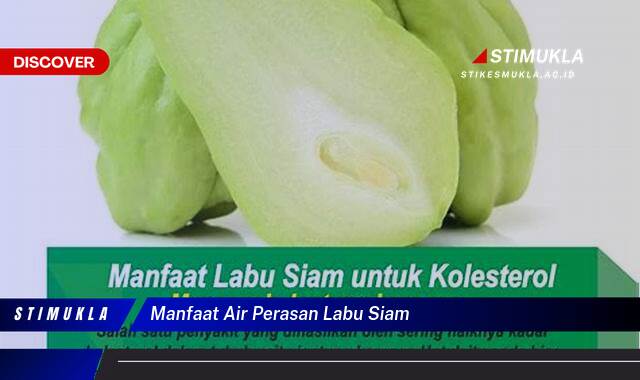 Ketahui 10 Manfaat Air Perasan Labu Siam untuk Kesehatan Tubuh Anda