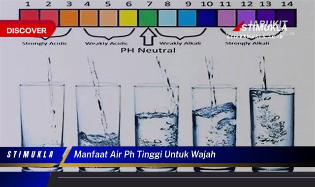 8 Manfaat Air PH Tinggi untuk Wajah, Rahasia Kulit Sehat Alami