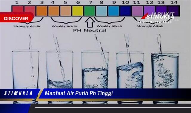 Inilah 10 Manfaat Air Putih pH Tinggi untuk Kesehatan Tubuh Anda