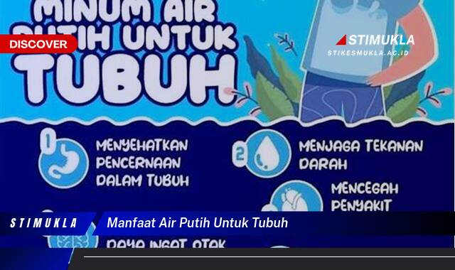 9 Manfaat manfaat air putih untuk tubuh, Sehat Alami Terbukti