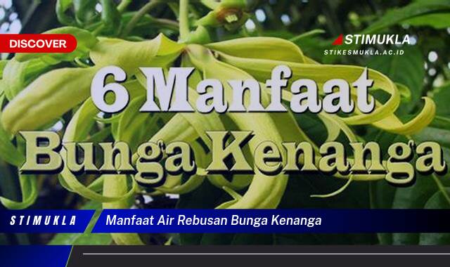 Ketahui 10 Manfaat Air Rebusan Bunga Kenanga untuk Relaksasi Tubuh