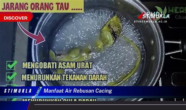 Ketahui 9 Manfaat Air Rebusan Cacing untuk Kesehatan Tubuh Anda