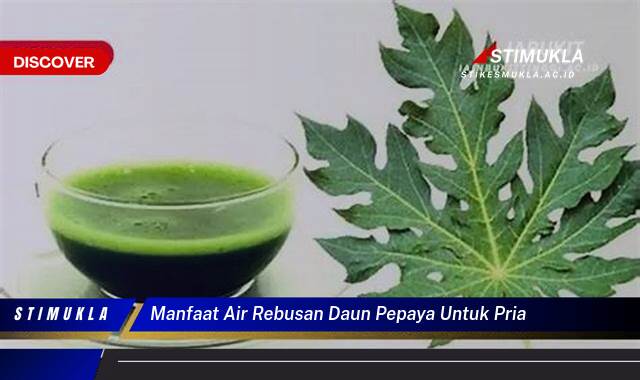 Ketahui 9 Manfaat Air Rebusan Daun Pepaya untuk Kesehatan Pria