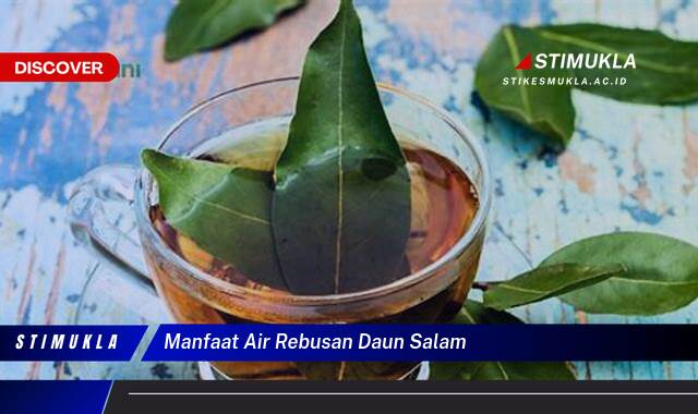 Ketahui 8 Manfaat Air Rebusan Daun Salam untuk Kesehatan Tubuh Anda