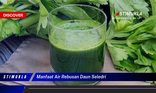 Ketahui 9 Manfaat Air Rebusan Daun Seledri untuk Kesehatan Tubuh Anda