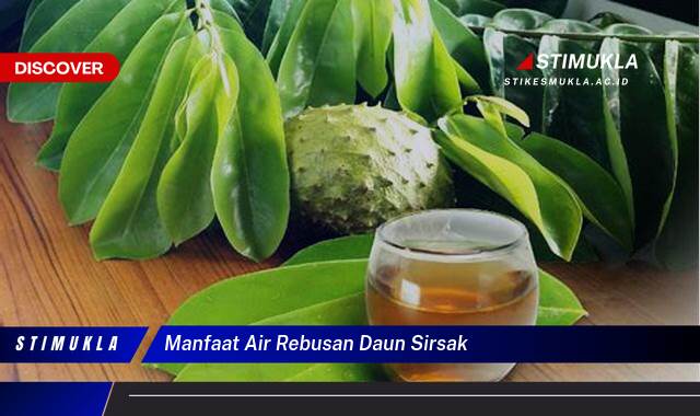 Ketahui 9 Manfaat Air Rebusan Daun Sirsak untuk Kesehatan Tubuh Anda Ketahui 9 Manfaat Air Rebusan Daun Sirsak untuk Kesehatan Tubuh Anda