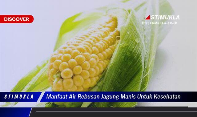 Temukan 10 Manfaat Air Rebusan Jagung Manis untuk Kesehatan Tubuh Anda