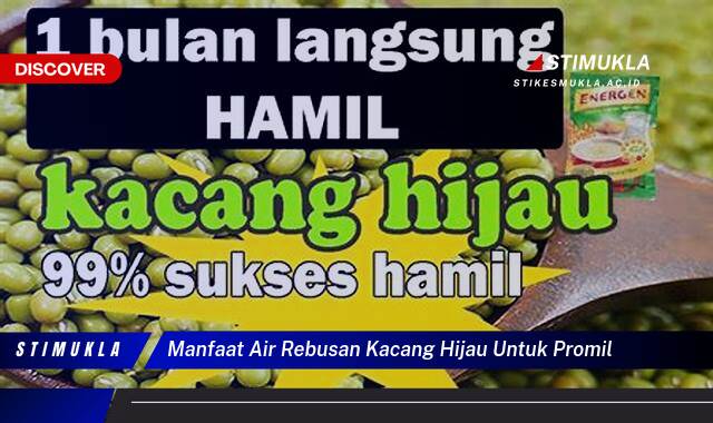 Inilah 10 Manfaat Air Rebusan Kacang Hijau untuk Promil, Meningkatkan Kesuburan dan Peluang Kehamilan