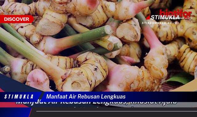 Ketahui 10 Manfaat Air Rebusan Lengkuas untuk Kesehatan Tubuh Anda