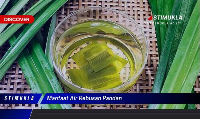 Temukan 10 Manfaat Air Rebusan Pandan untuk Kesehatan dan Kecantikan