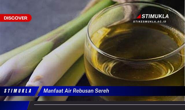 Ketahui 8 Manfaat Air Rebusan Sereh untuk Kesehatan Tubuh Anda