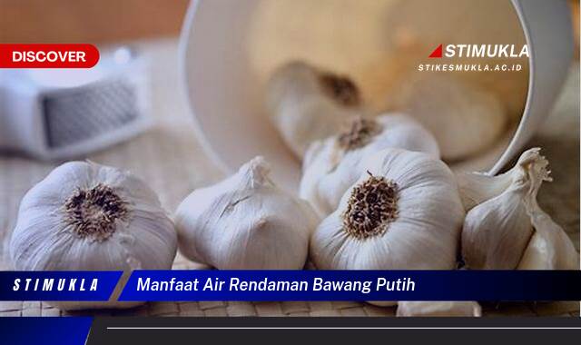 Ketahui 9 Manfaat Air Rendaman Bawang Putih untuk Kesehatan Tubuh Anda Ketahui 9 Manfaat Air Rendaman Bawang Putih untuk Kesehatan Tubuh Anda