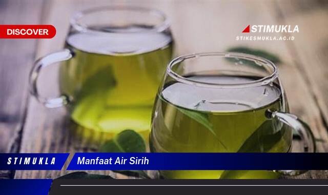 Ketahui 10 Manfaat Air Sirih untuk Kesehatan, Kecantikan, dan Kehidupan Sehari,hari