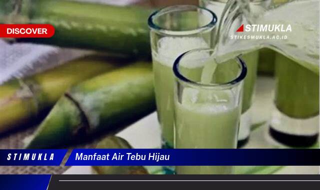 Ketahui 9 Manfaat Air Tebu Hijau untuk Kesehatan Tubuh Anda