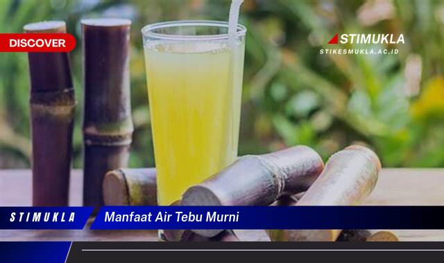 Ketahui 9 Manfaat Air Tebu Murni untuk Kesehatan Tubuh Anda