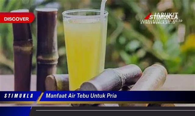Ketahui 10 Manfaat Air Tebu untuk Pria, Meningkatkan Kesehatan dan Stamina Ketahui 10 Manfaat Air Tebu untuk Pria, Meningkatkan Kesehatan dan Stamina