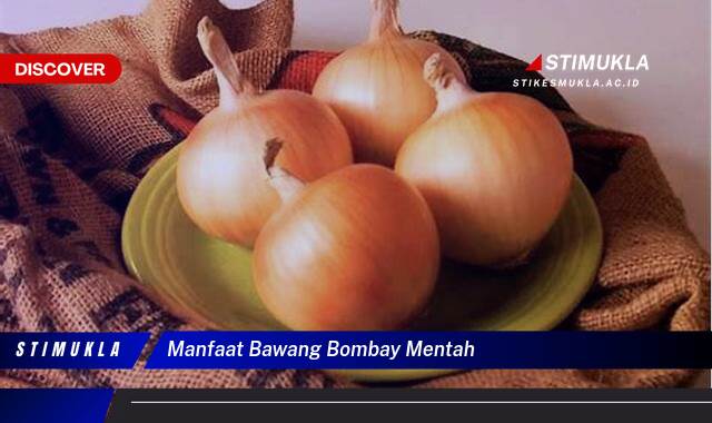 Inilah 10 Manfaat Bawang Bombay Mentah untuk Kesehatan Anda Inilah 10 Manfaat Bawang Bombay Mentah untuk Kesehatan Anda