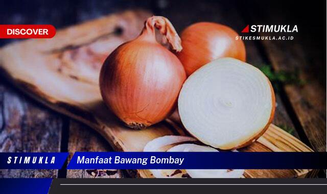 Ketahui 8 Manfaat Bawang Bombay untuk Kesehatan Tubuh Anda Ketahui 8 Manfaat Bawang Bombay untuk Kesehatan Tubuh Anda