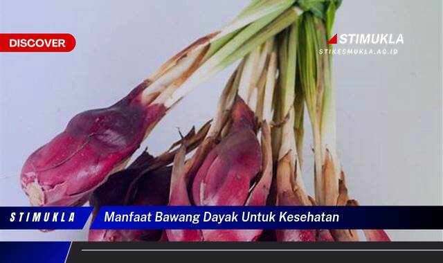 Ketahui 10 Manfaat Bawang Dayak untuk Kesehatan Tubuh Anda Secara Lengkap Ketahui 10 Manfaat Bawang Dayak untuk Kesehatan Tubuh Anda Secara Lengkap