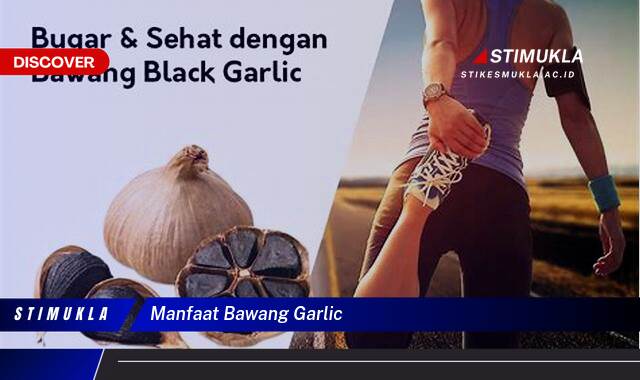 Ketahui 10 Manfaat Bawang Garlic untuk Kesehatan Tubuh Anda