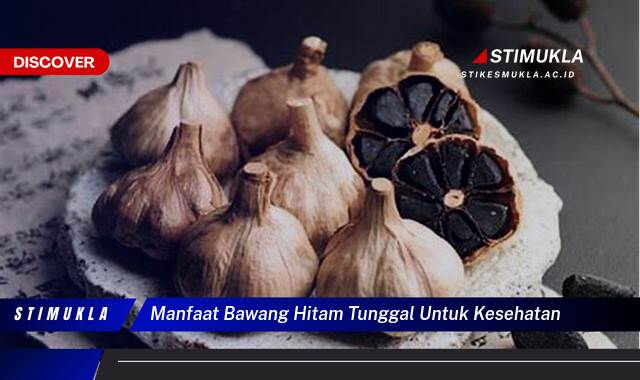 Inilah 8 Manfaat Bawang Hitam Tunggal untuk Kesehatan Tubuh yang Menakjubkan