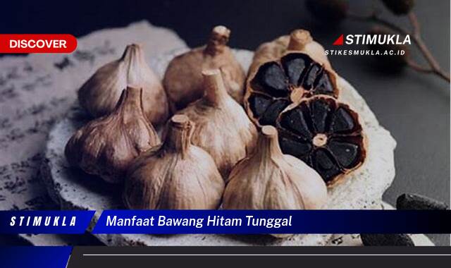 Ketahui 9 Manfaat Bawang Hitam Tunggal untuk Kesehatan Anda Ketahui 9 Manfaat Bawang Hitam Tunggal untuk Kesehatan Anda