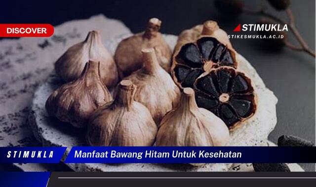 Ketahui 10 Manfaat Bawang Hitam untuk Kesehatan Tubuh Anda Secara Lengkap