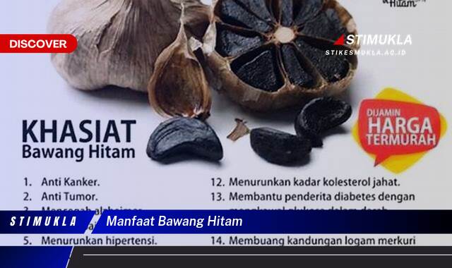 Ketahui 9 Manfaat Bawang Hitam untuk Kesehatan Tubuh Anda Ketahui 9 Manfaat Bawang Hitam untuk Kesehatan Tubuh Anda